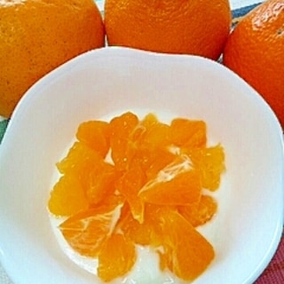 柑橘三昧☆和柑橘尽くしのヨーグルト♪